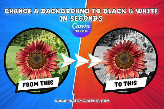 Change a Photo Background to Black & White in Seconds Canva Tutorial